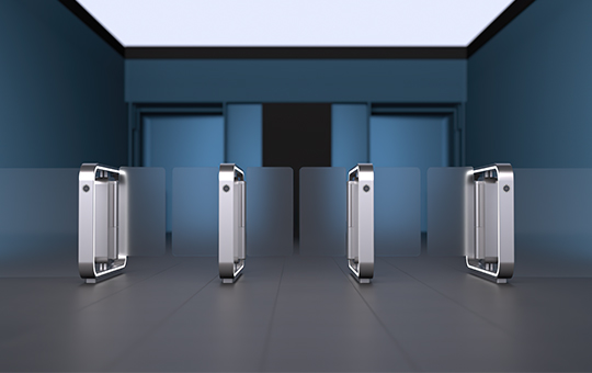 Record Impression Speed Gate